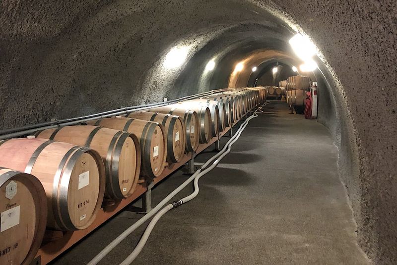 Pine Ridge Vineyards: Cabernet Heaven in Rutherford