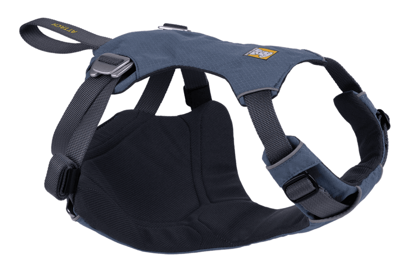 Crash-Tested Pet Car Harness