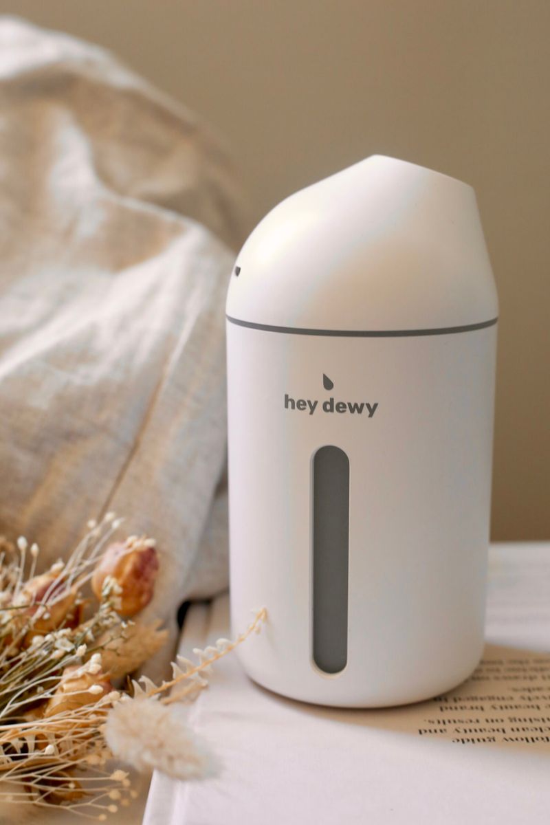 Hey Dewy Wireless Facial Humidifier