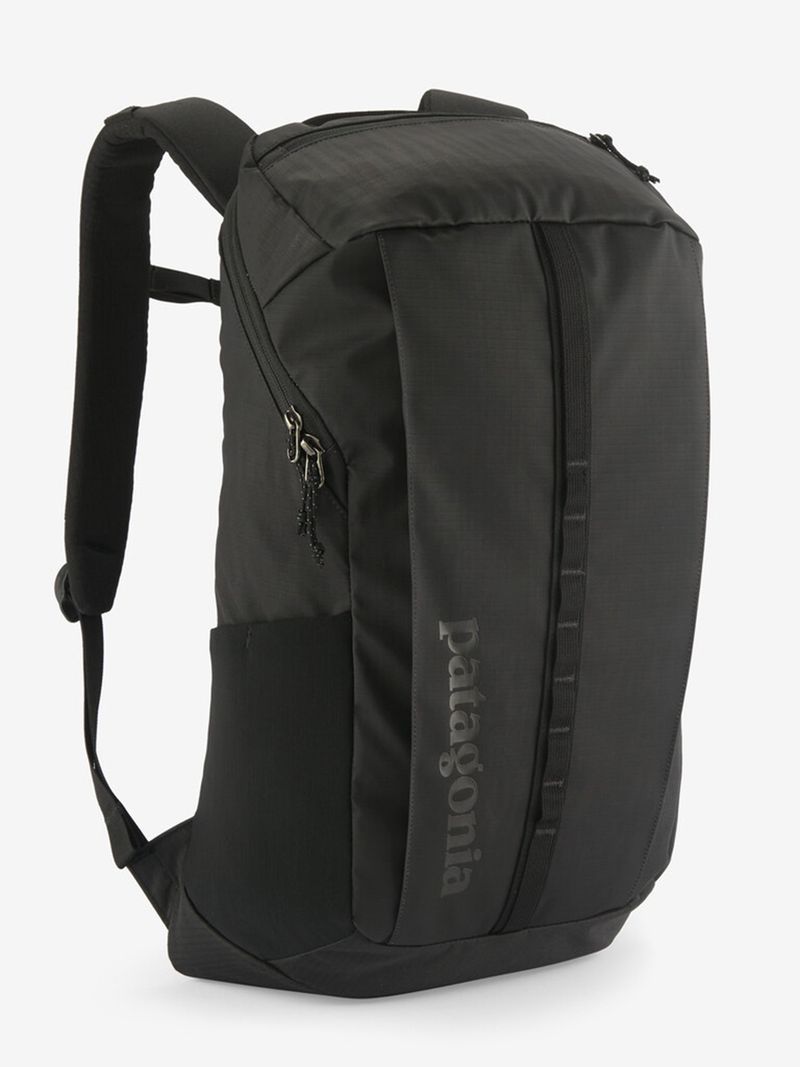Patagonia Black Hole Pack