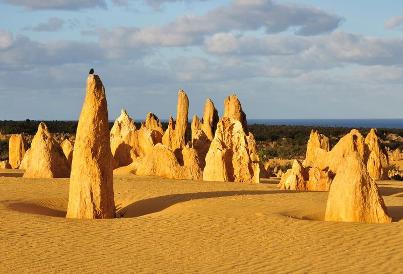 The Pinnacles Desert (WA)