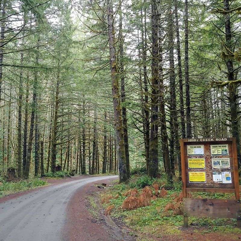 Idiotville, Oregon