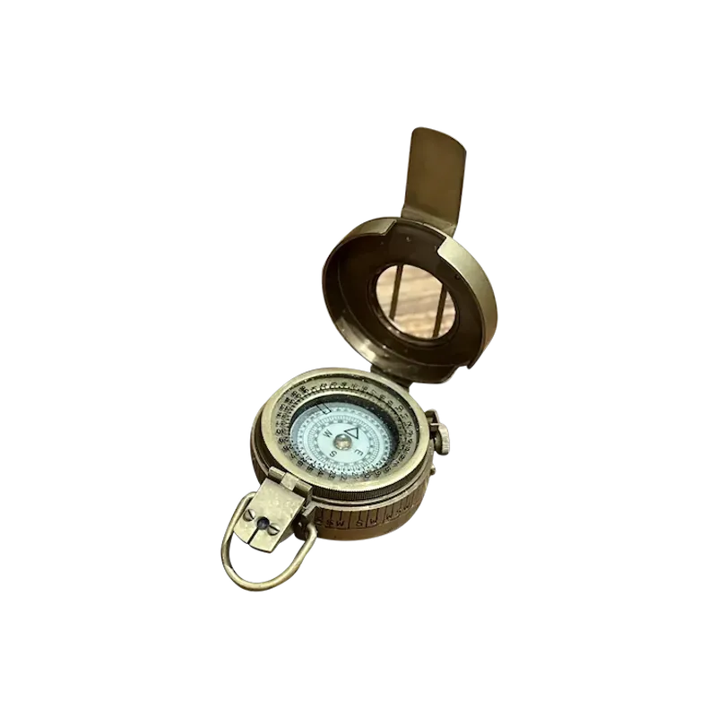 Analog Compass