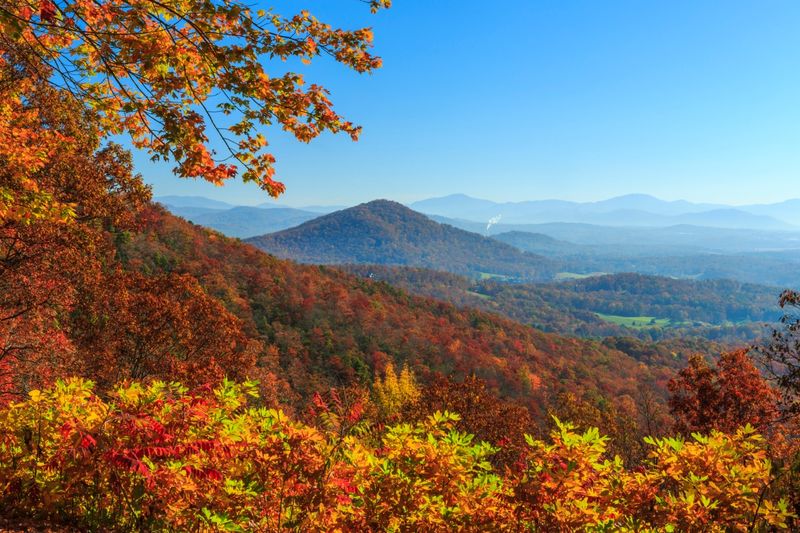 Asheville, North Carolina—America's Affordable Leaf-Peeping Gem
