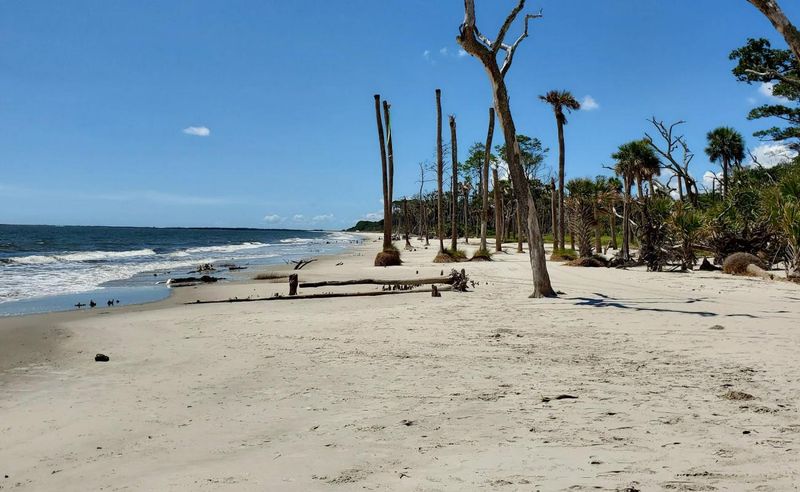 Daufuskie Island: South Carolina's Time Capsule