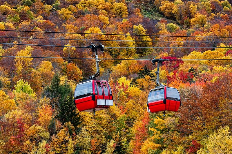 Stowe