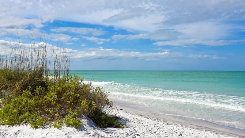 Sand Key Park (Clearwater)