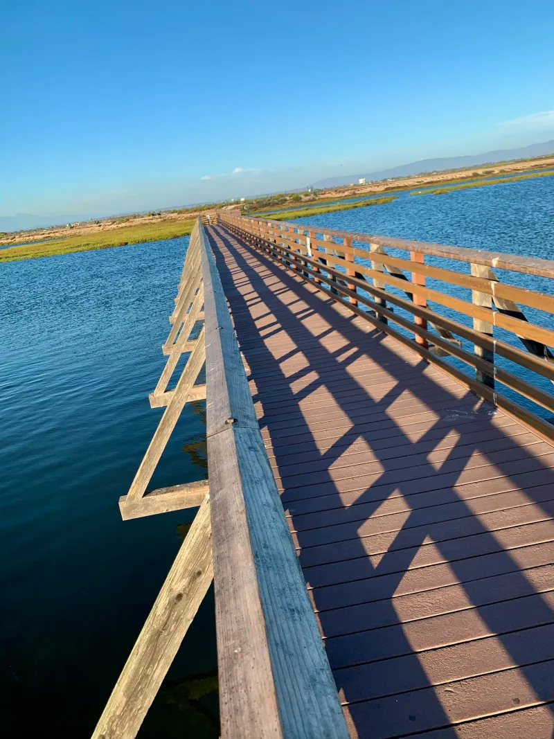 Bolsa Chica Ecological Reserve (Huntington Beach)