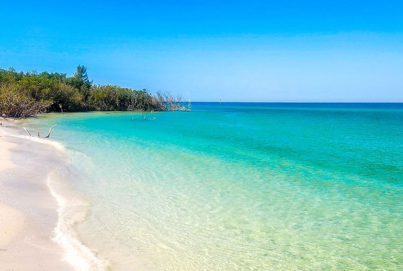 Some of Florida's Clearest Water