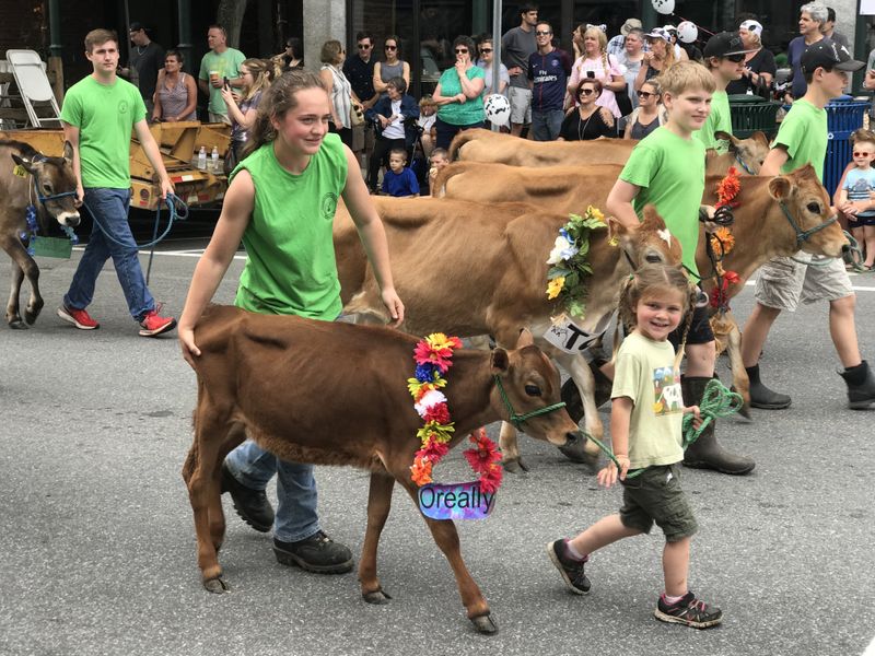 Beyond Cows: A Full Agricultural Showcase