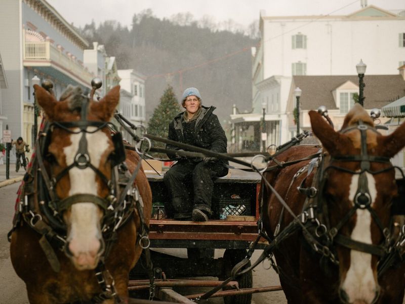 The Working Horses of Mackinac
