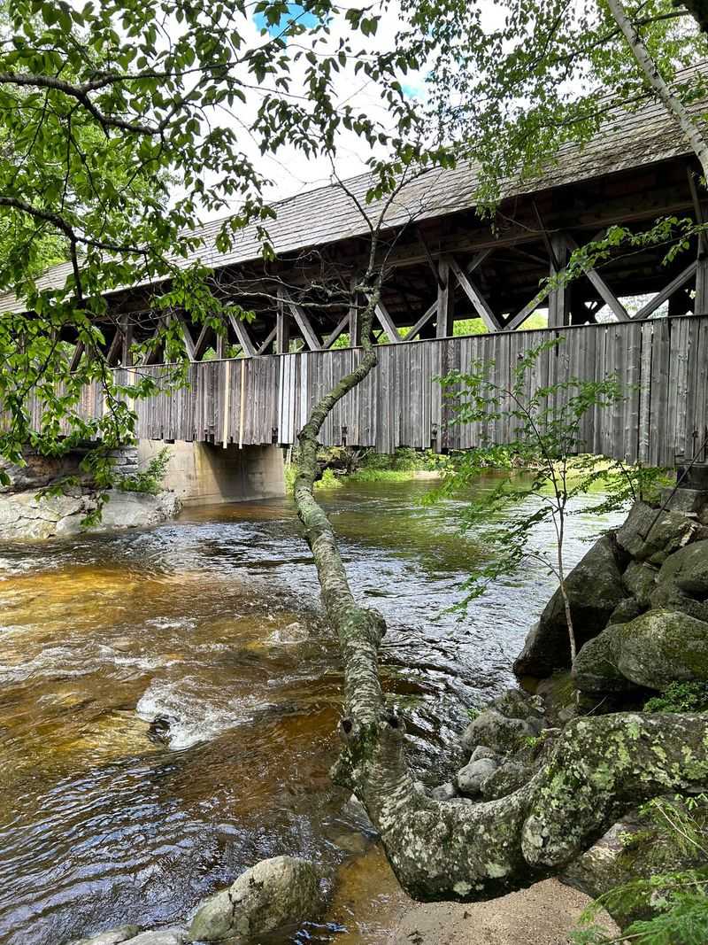 Why “Artist’s Bridge”?