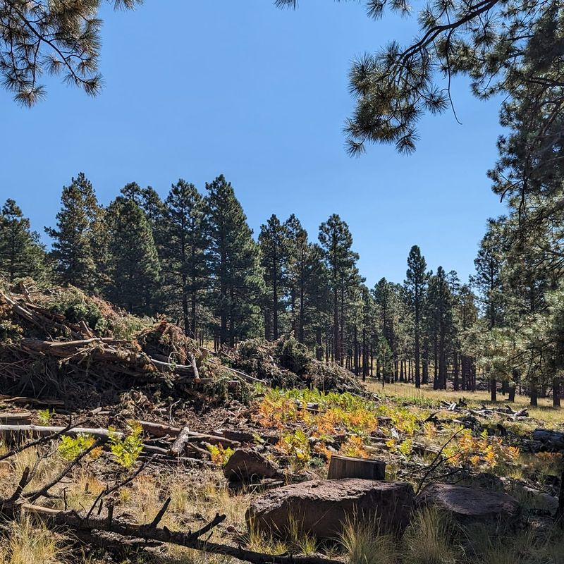 Remote, Rugged, and Rich in Local Life