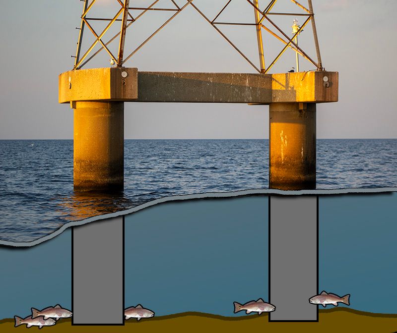 Built to Attract Life—and Fish