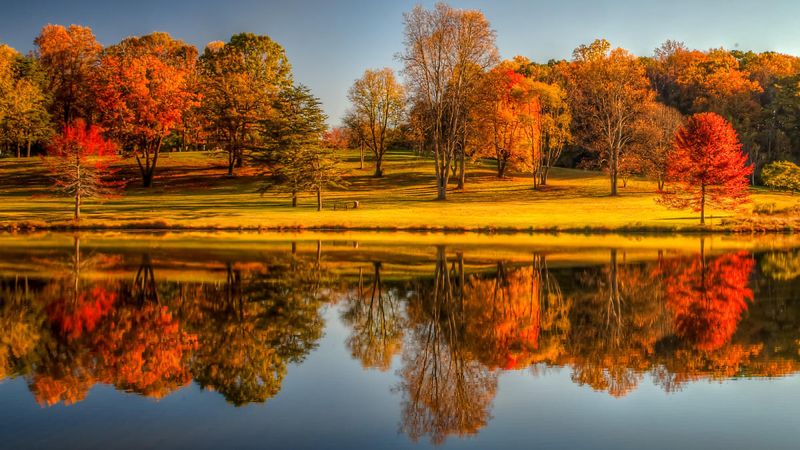 Seasonal Beauty for Every Mood