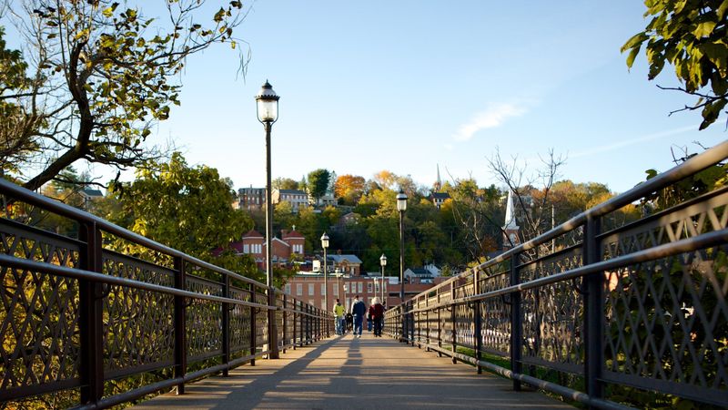 Grant Park and a romantic footbridge