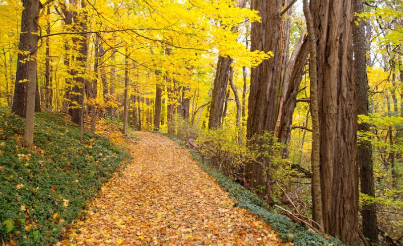 Explore Miles of Scenic Trails