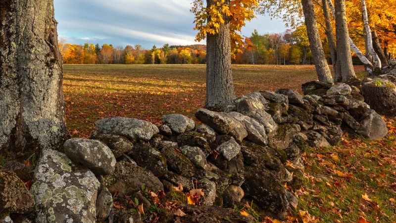 A Working Farm Transformed: Conservation Meets History