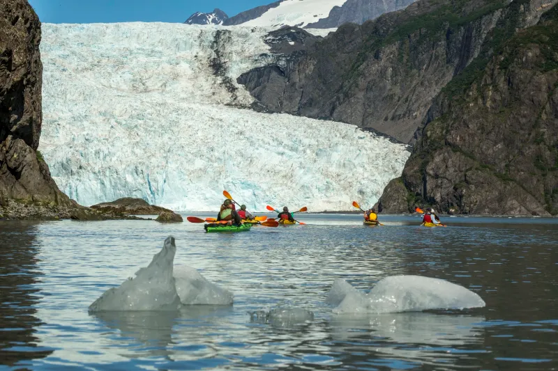 Resurrection Bay's Hidden Coves and Marine Life