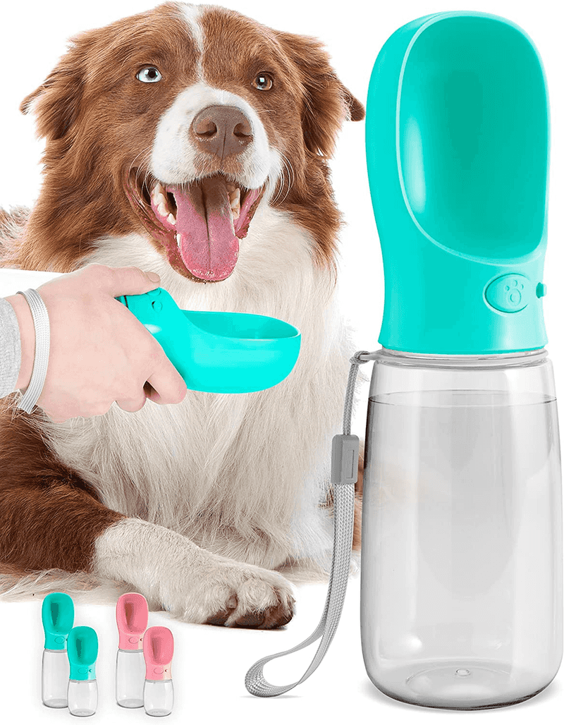 Portable Water Dispenser
