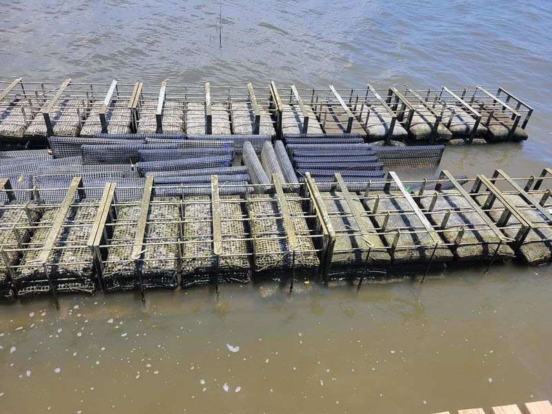 Coden’s Oyster Stands