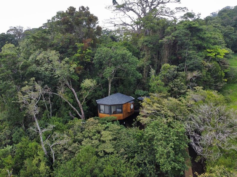 Costa Rica Treehouse – Canopy Adventure Retreat