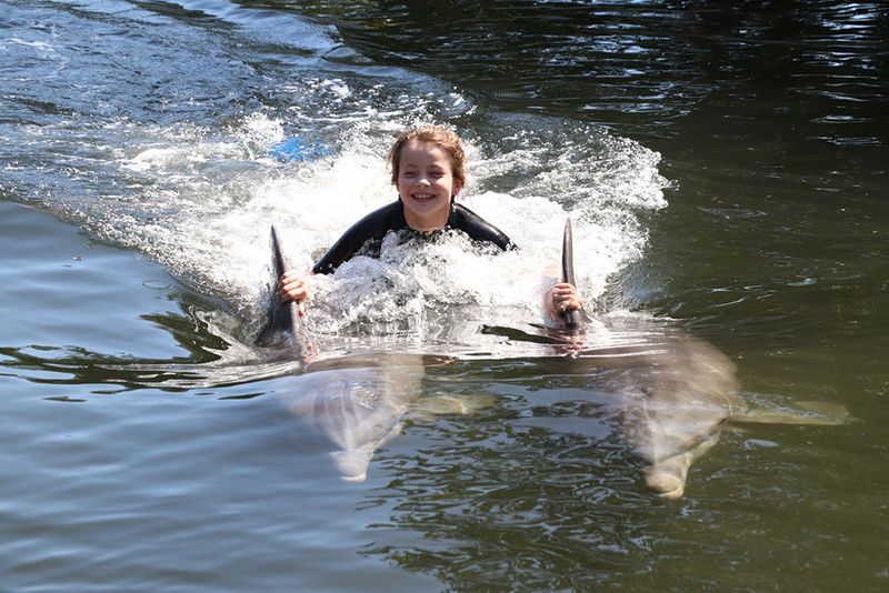 Theater of the Sea's Behind-the-Scenes Dolphin Swim