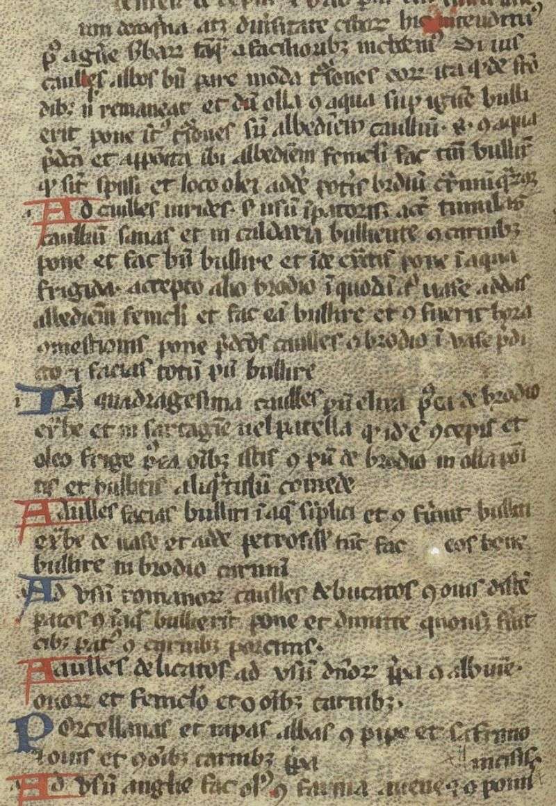Liber de Coquina (13th–14th century)