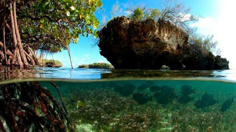 Aldabra Atoll, Seychelles