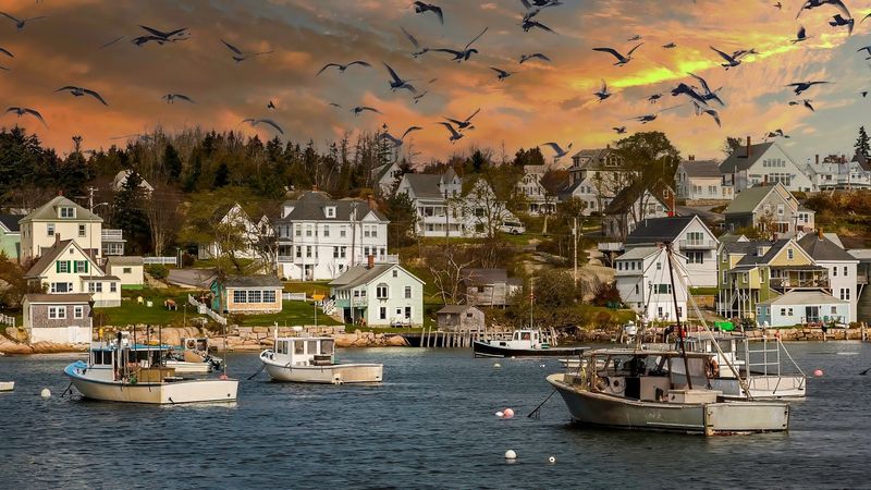 Beauty, Stillness, and Coastal Simplicity