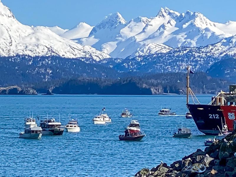 Halibut Celebrations and Festivals