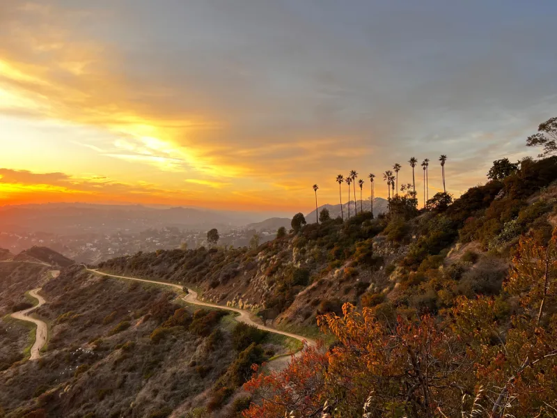 Glendale Peak (quieter Griffith Park summit)