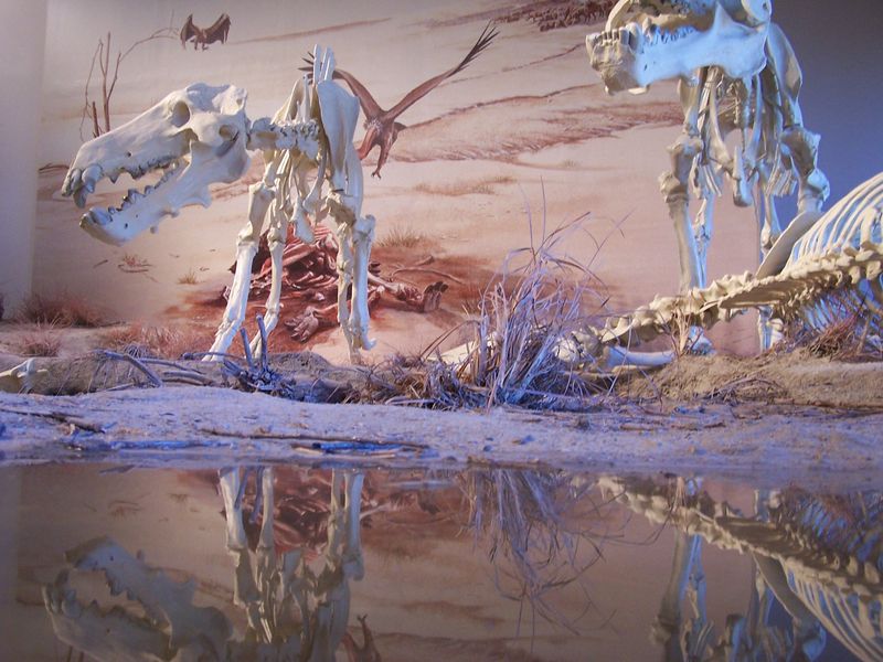 Agate Fossil Beds National Monument (Harrison)