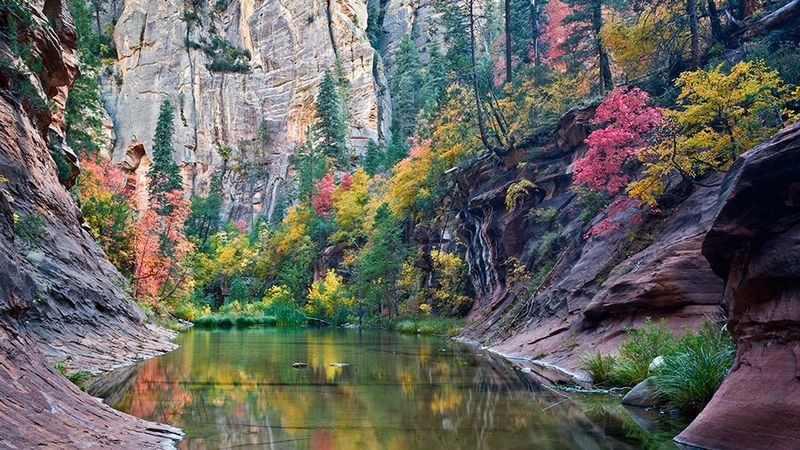 West Fork of Oak Creek, Sedona, Arizona