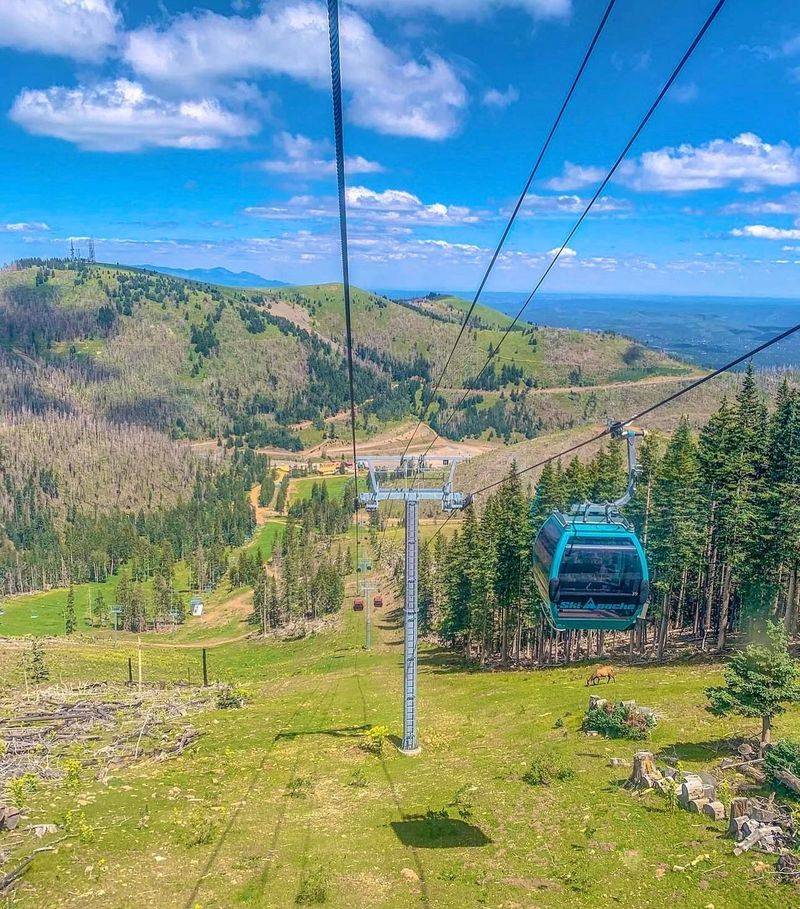 Ride the Ski Apache Scenic Gondola for Spectacular Mountain Views
