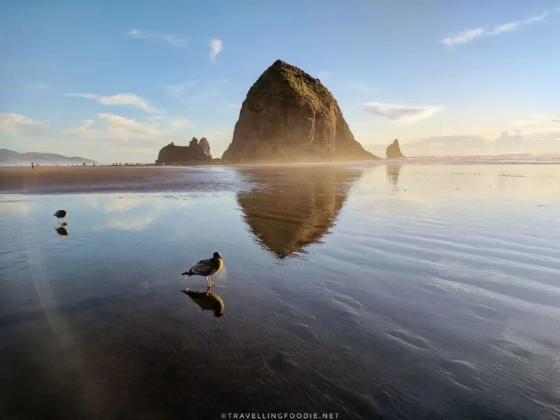 Cannon Beach & Haystack Rock - Oregon's Coastal Icon