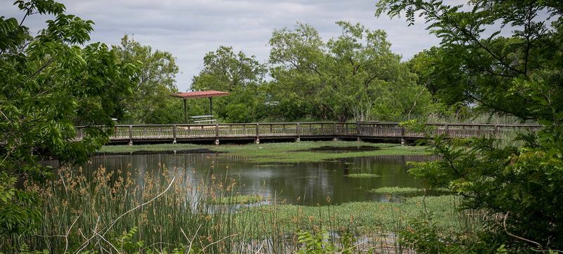Cedar Hill State Park (≈30–40 min)