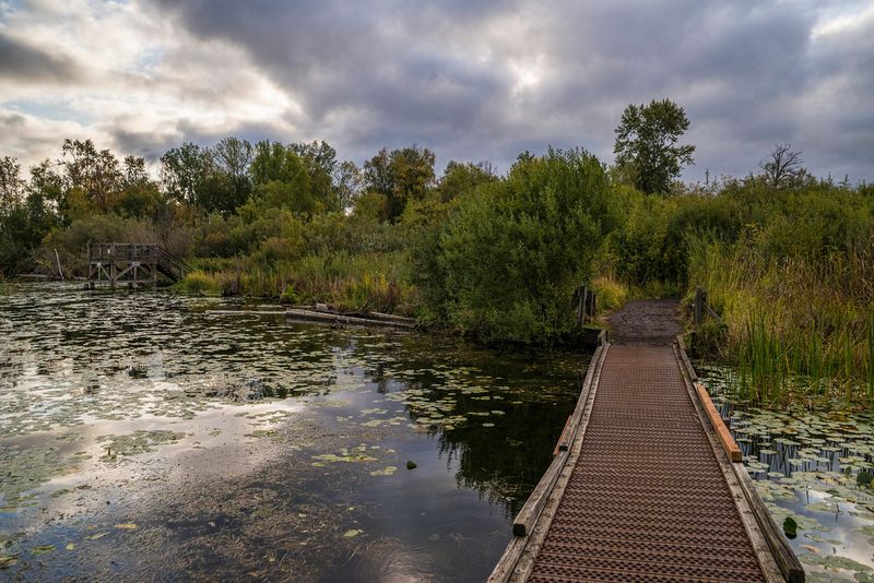 Walk the Arboretum's Hidden Boardwalks