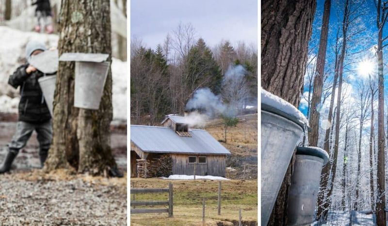 When to Visit: Sugaring Season