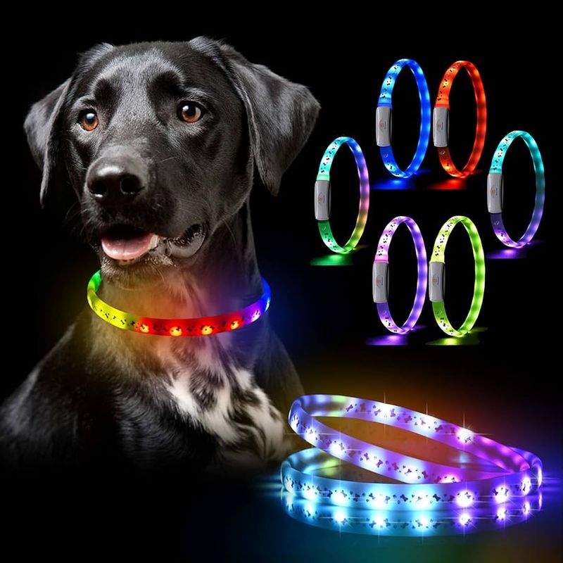 Lighted Safety Collar