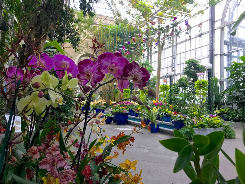 Rich Plant Collections