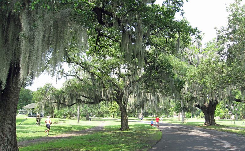 Audubon Park loop (Uptown)