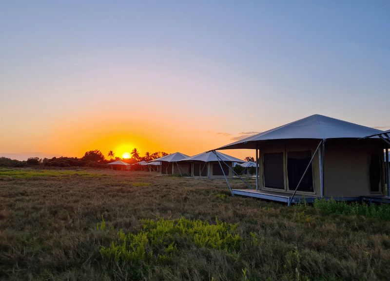 Flamingo Campground: Where Wilderness Meets Comfort