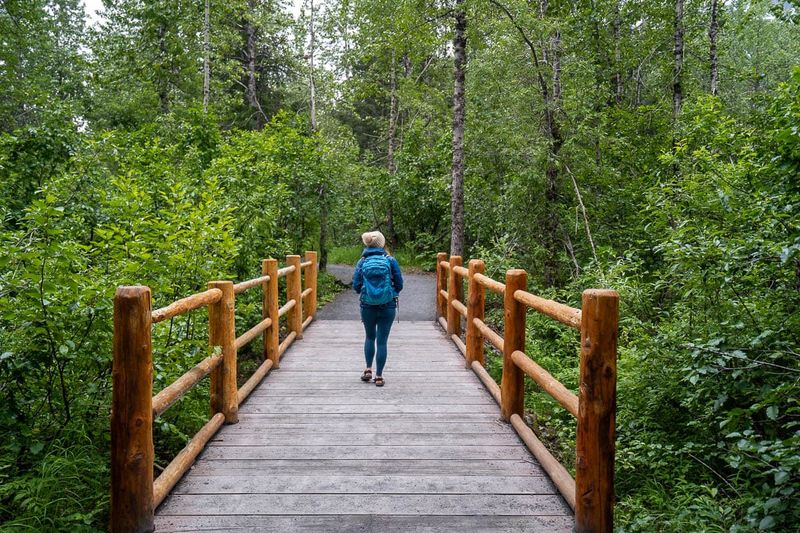 Take the Easy Glacier View Loop Trail
