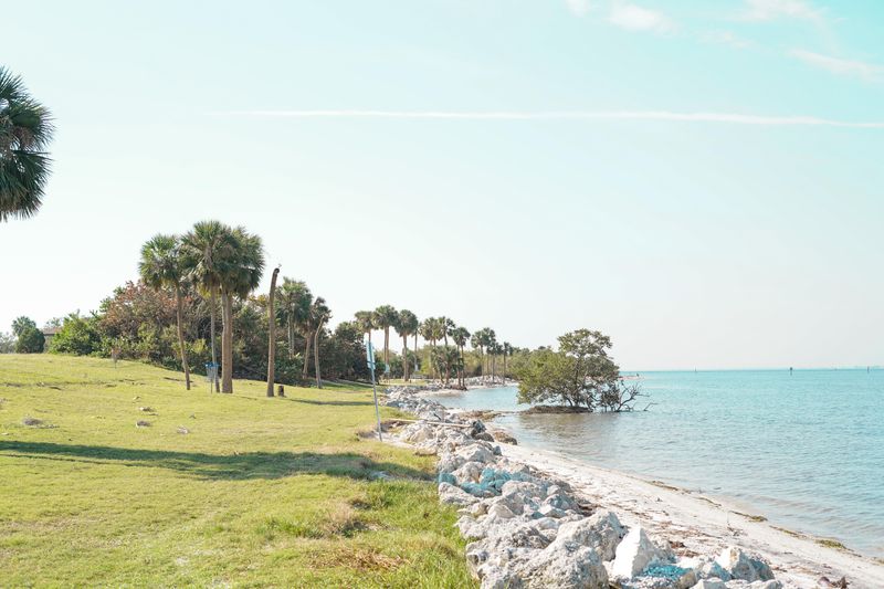 Picnic Island Park Beach (South Tampa)