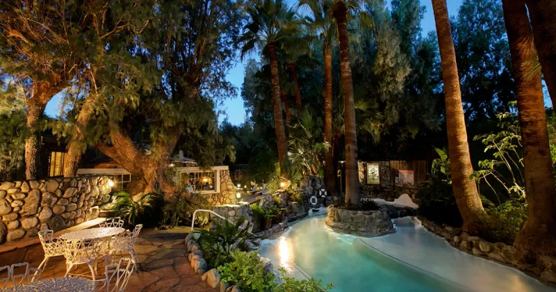 Two Bunch Palms