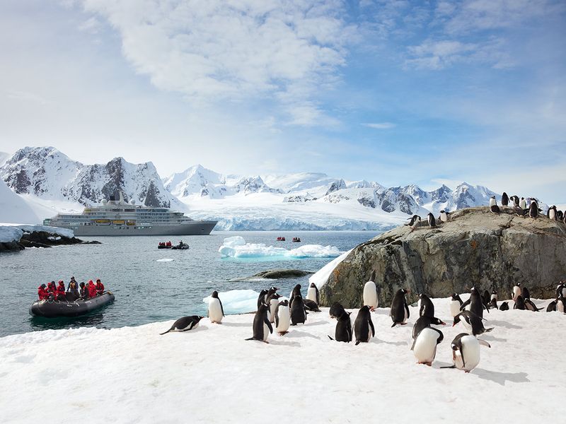 Antarctica (Silversea Expeditions)
