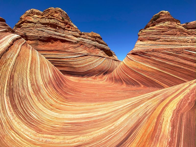 The Wave in Coyote Buttes — Nature's Psychedelic Sculpture Gallery