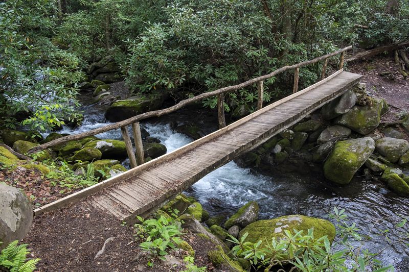 Kephart Prong Trail