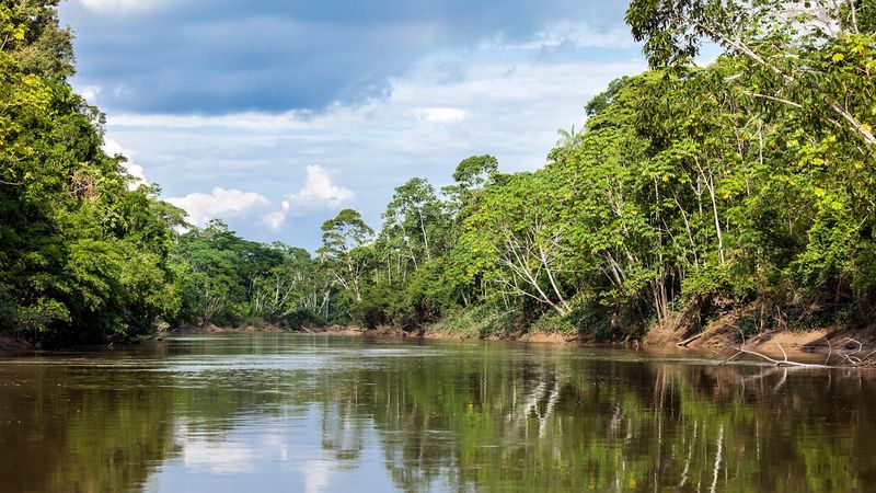 Explore the Amazon Rainforest, Ecuador